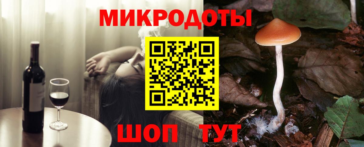 Галлюциногенные грибы Psilocybe  Вход с VPN  Псилоцибиновые грибы Psilocybe  Видное 