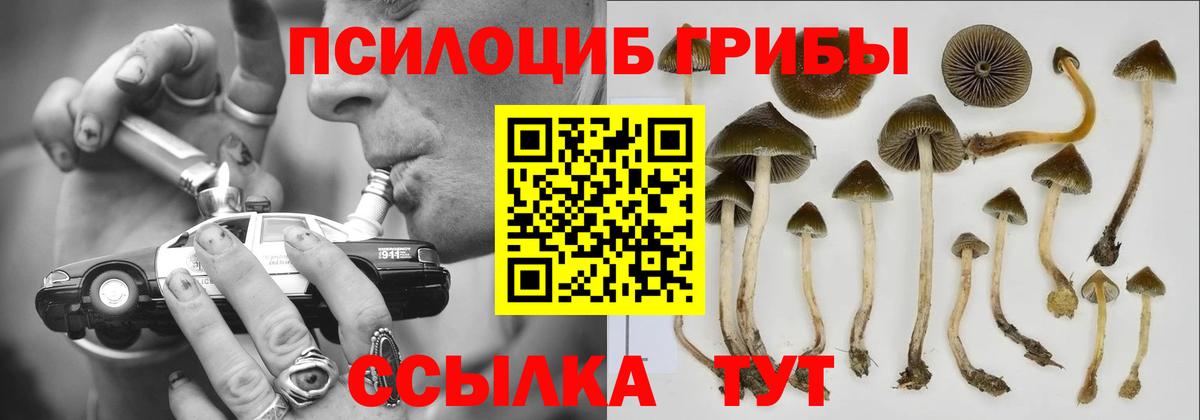 Псилоцибиновые грибы прущие грибы Видное
